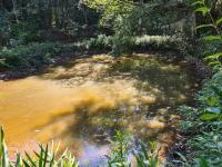 SÍTIO À VENDA – EXCELENTE LOCALIZAÇÃO