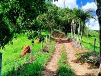 SÍTIO À VENDA – EXCELENTE LOCALIZAÇÃO