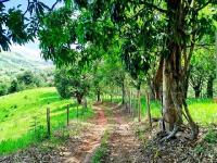 SÍTIO À VENDA – EXCELENTE LOCALIZAÇÃO