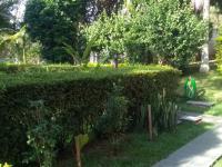 LINDA CHÁCARA À VENDA – ÁGUAS DE LINDÓIA