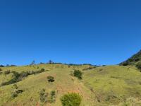 SÍTIO EM LINDÓIA – EXCELENTE LOCALIZAÇÃO E MUITA NATUREZA
