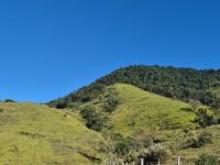 SÍTIO EM LINDÓIA – EXCELENTE LOCALIZAÇÃO E MUITA NATUREZA