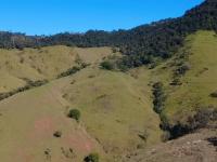 SÍTIO EM LINDÓIA – EXCELENTE LOCALIZAÇÃO E MUITA NATUREZA