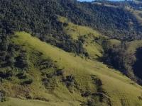 SÍTIO EM LINDÓIA – EXCELENTE LOCALIZAÇÃO E MUITA NATUREZA