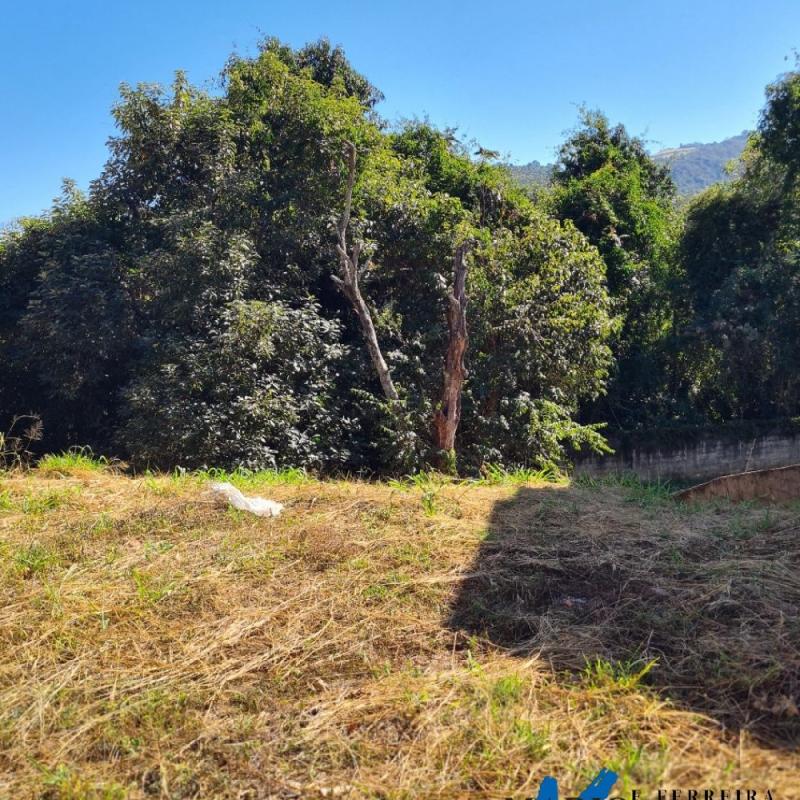 TERRENO BAIRRO NOVA LINDÓIA