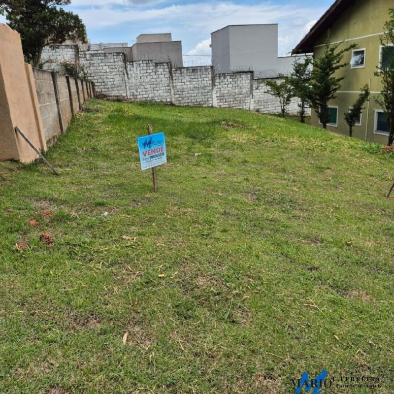 LOTES COM EXECELENTE TOPOGRAFIA - OTIMA VISTA