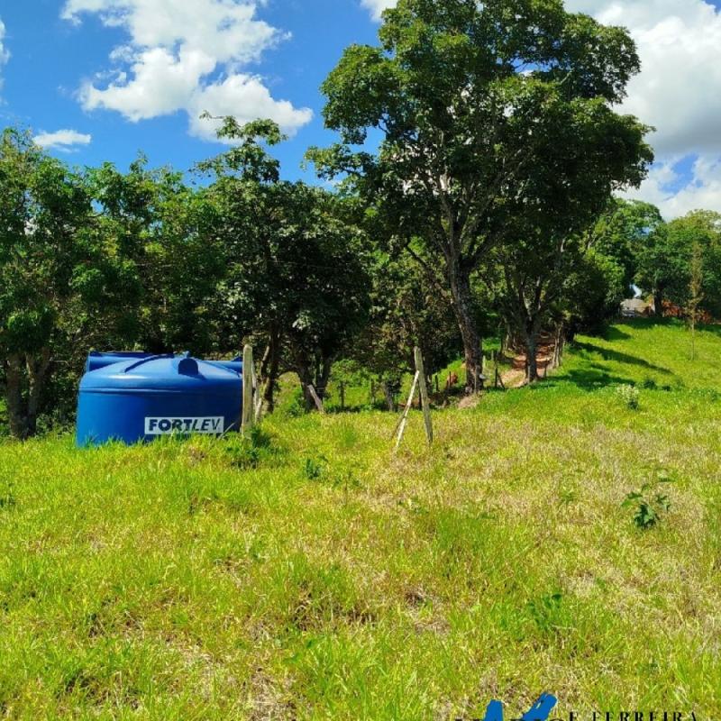 SÍTIO À VENDA – EXCELENTE LOCALIZAÇÃO