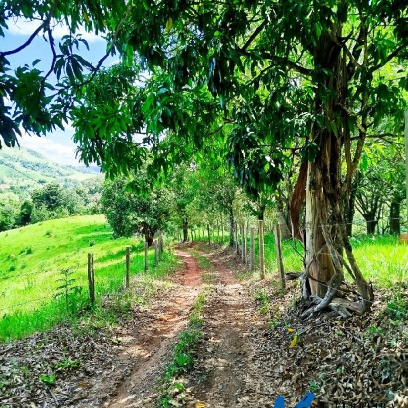 SÍTIO À VENDA – EXCELENTE LOCALIZAÇÃO