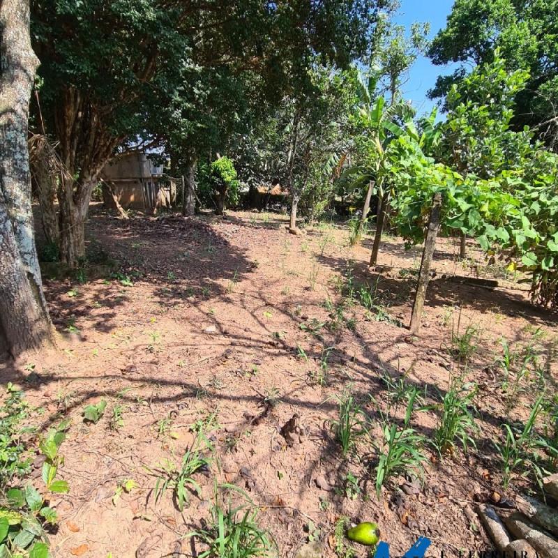 CHÁCARA COM VISTA PARA AS MONTANHAS