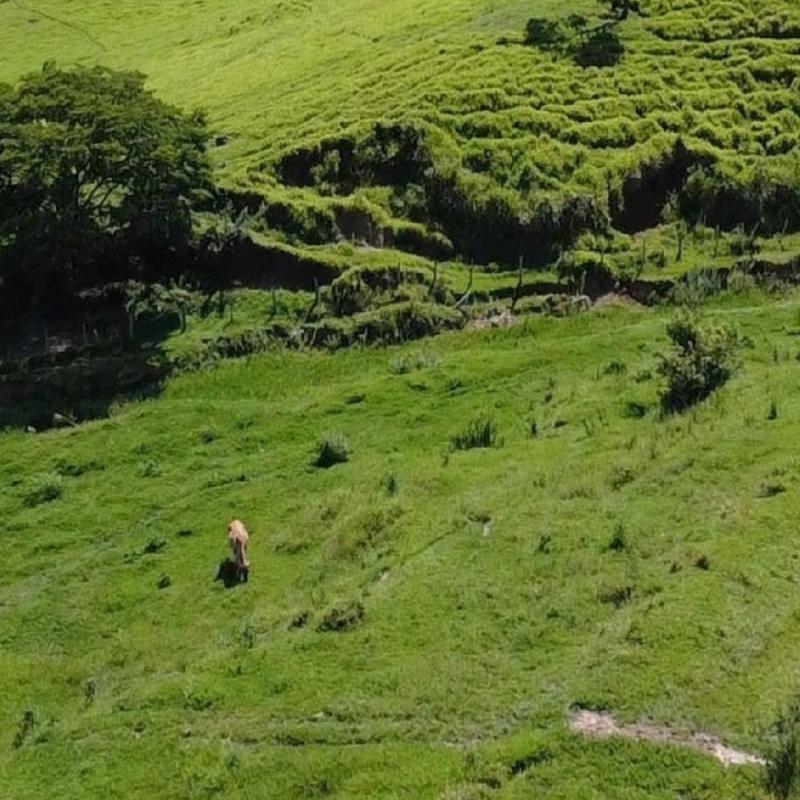 LINDO SÍTIO EM REGIÃO VALORIZADA E DE GRANDE POTENCIAL