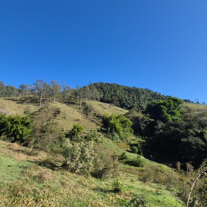 SÍTIO EM LINDÓIA – EXCELENTE LOCALIZAÇÃO E MUITA NATUREZA