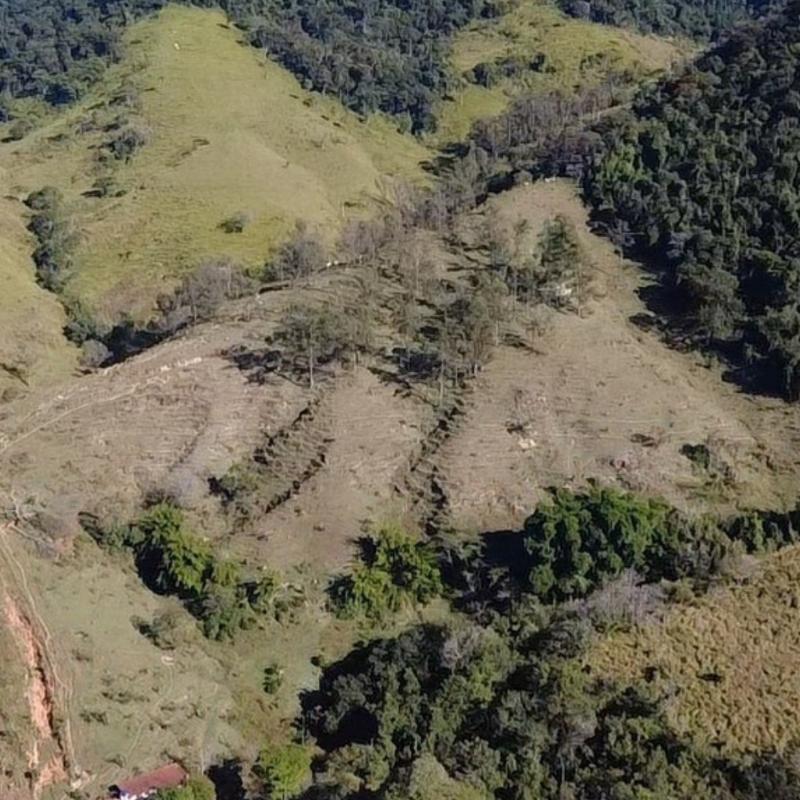 SÍTIO EM LINDÓIA – EXCELENTE LOCALIZAÇÃO E MUITA NATUREZA