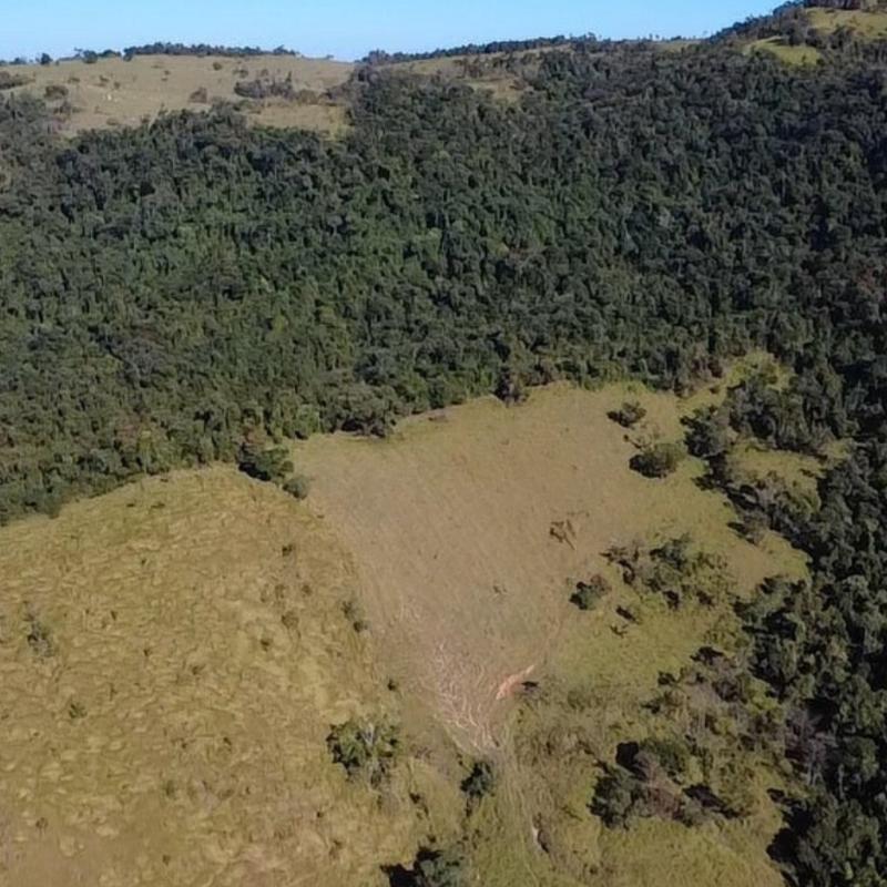 SÍTIO EM LINDÓIA – EXCELENTE LOCALIZAÇÃO E MUITA NATUREZA