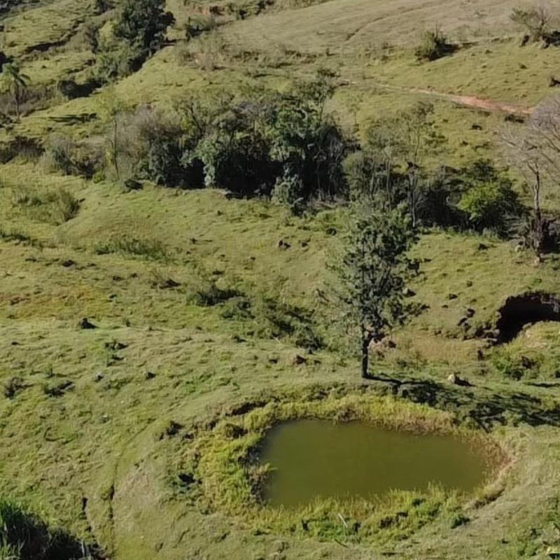 SÍTIO EM LINDÓIA – EXCELENTE LOCALIZAÇÃO E MUITA NATUREZA